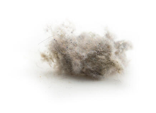 dust